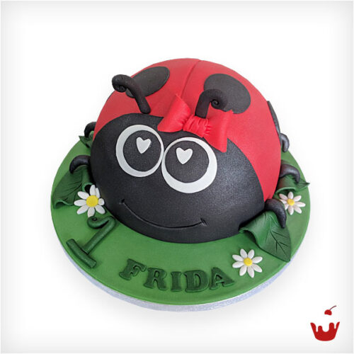 Hamova-Thementorte-Motivtorte-Geburtstagstorte-115