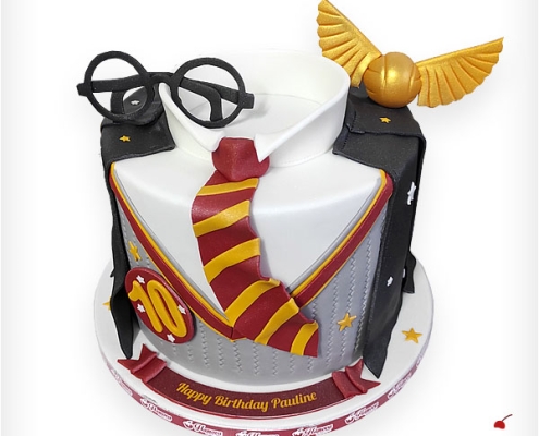 Hamova Thementorte Motivtorte Geburtstagstorte Magdeburg Harry Potter