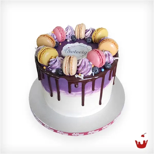 Motivtorte - Drip Cake mit Macarons